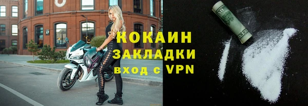 трава Белокуриха
