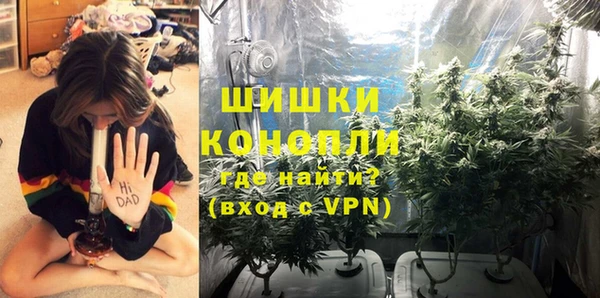 трава Белокуриха