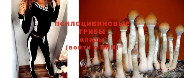 трава Белокуриха