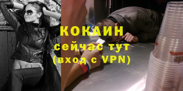 трава Белокуриха